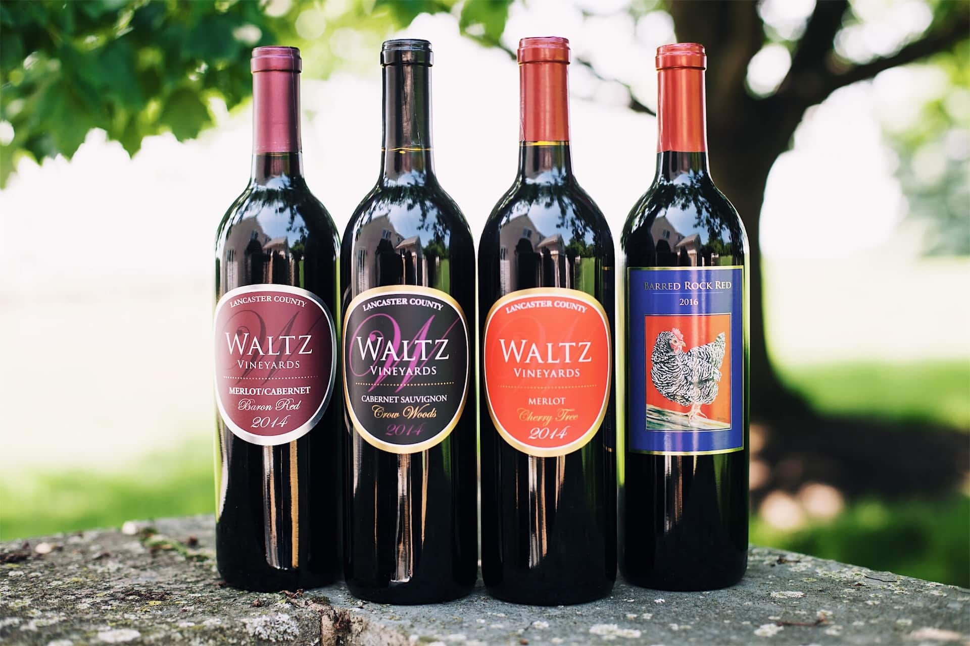 Waltz Vineyards Estate Winery lineup of reds.