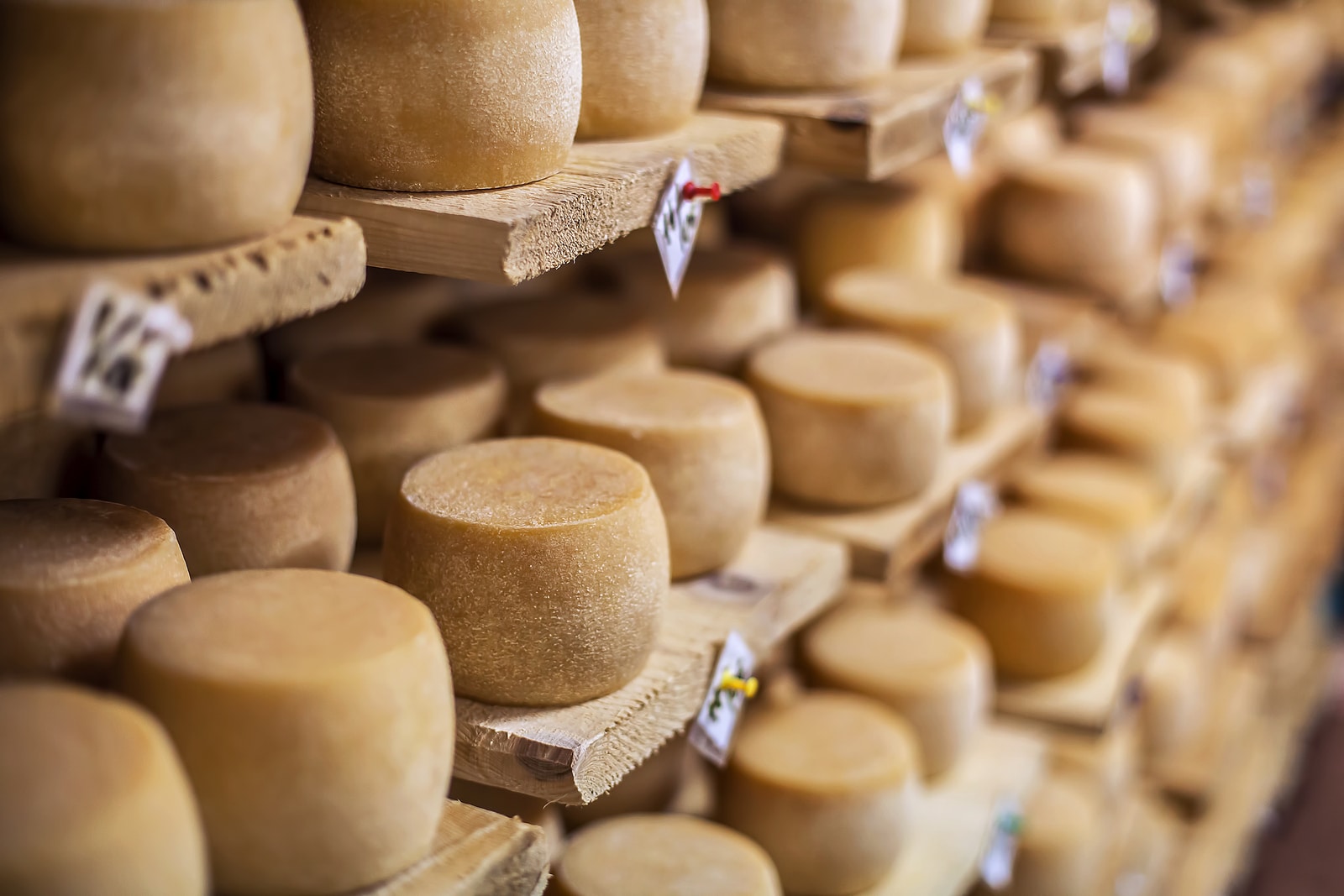 Cow milk cheese, stored in a wooden shelves and left to mature.