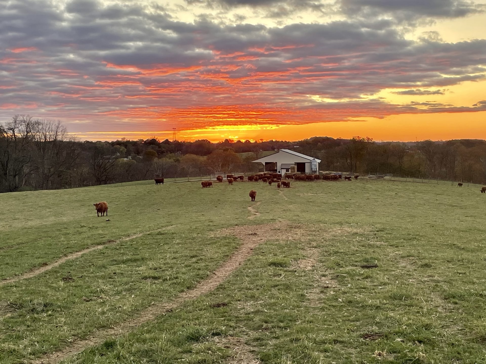 Sunset at Bow Creek Farm & Cattle Co.