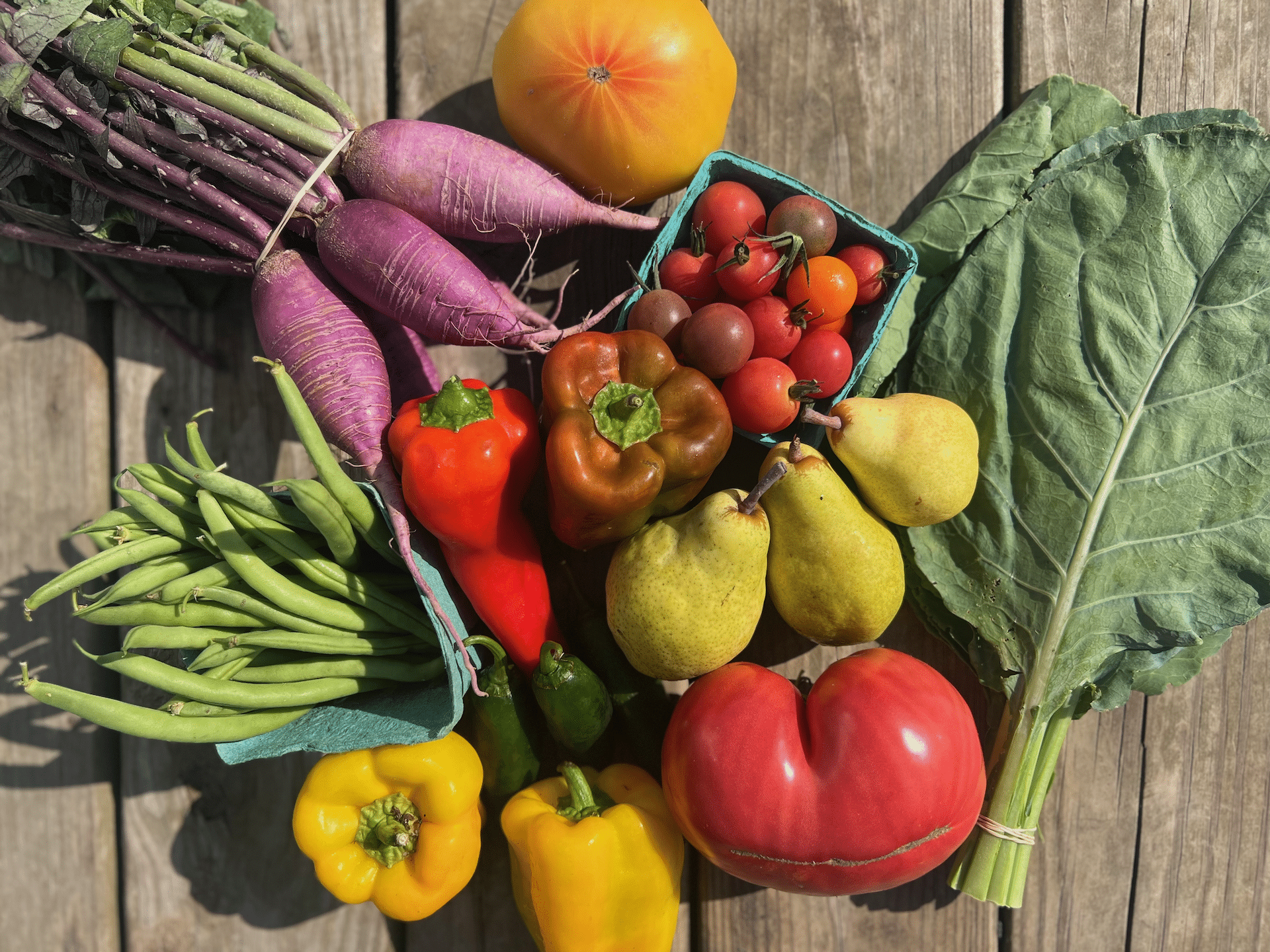 A farm share from The LEAF Project.