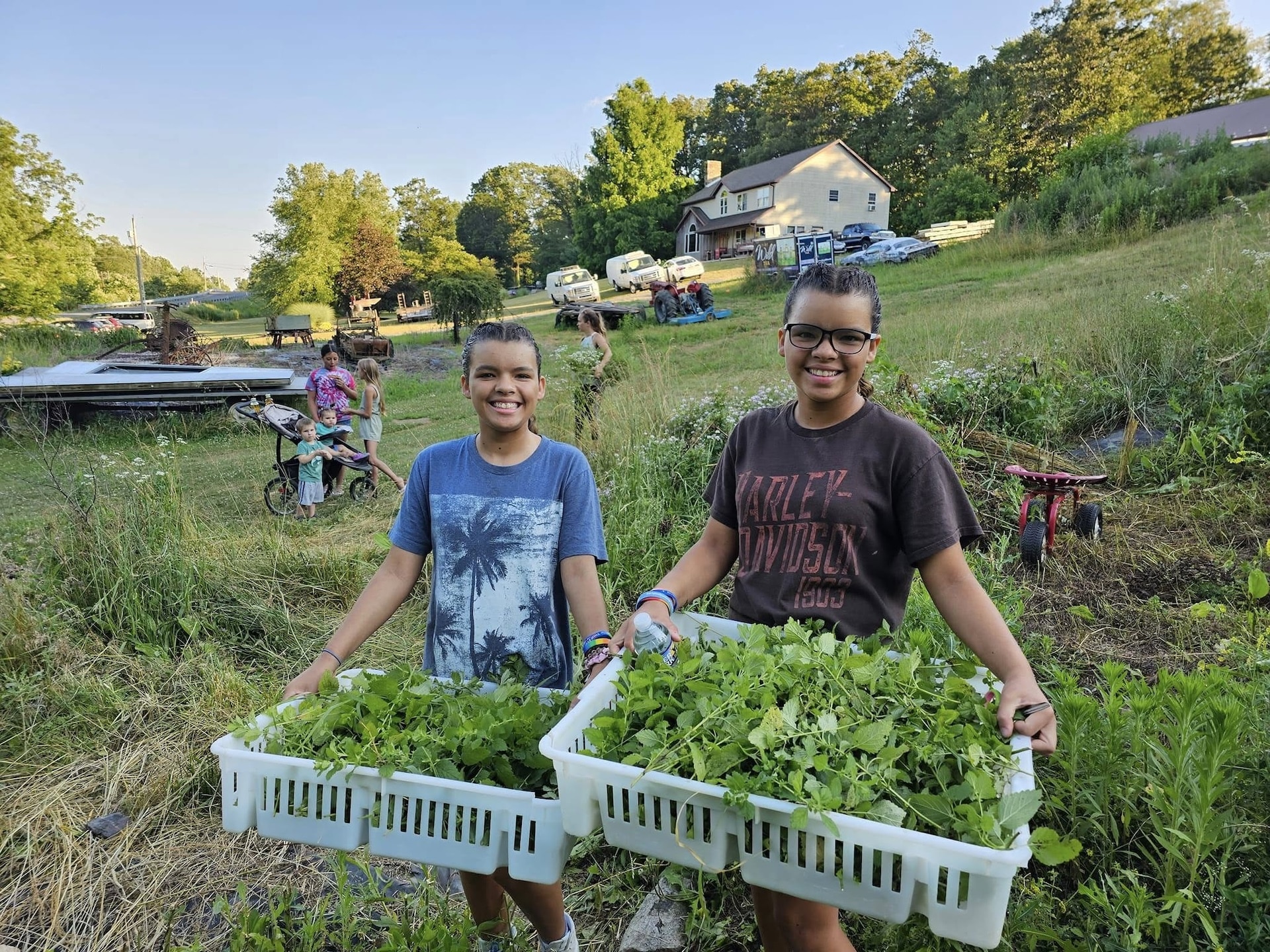 Pure Wild Tea harvest helpers.