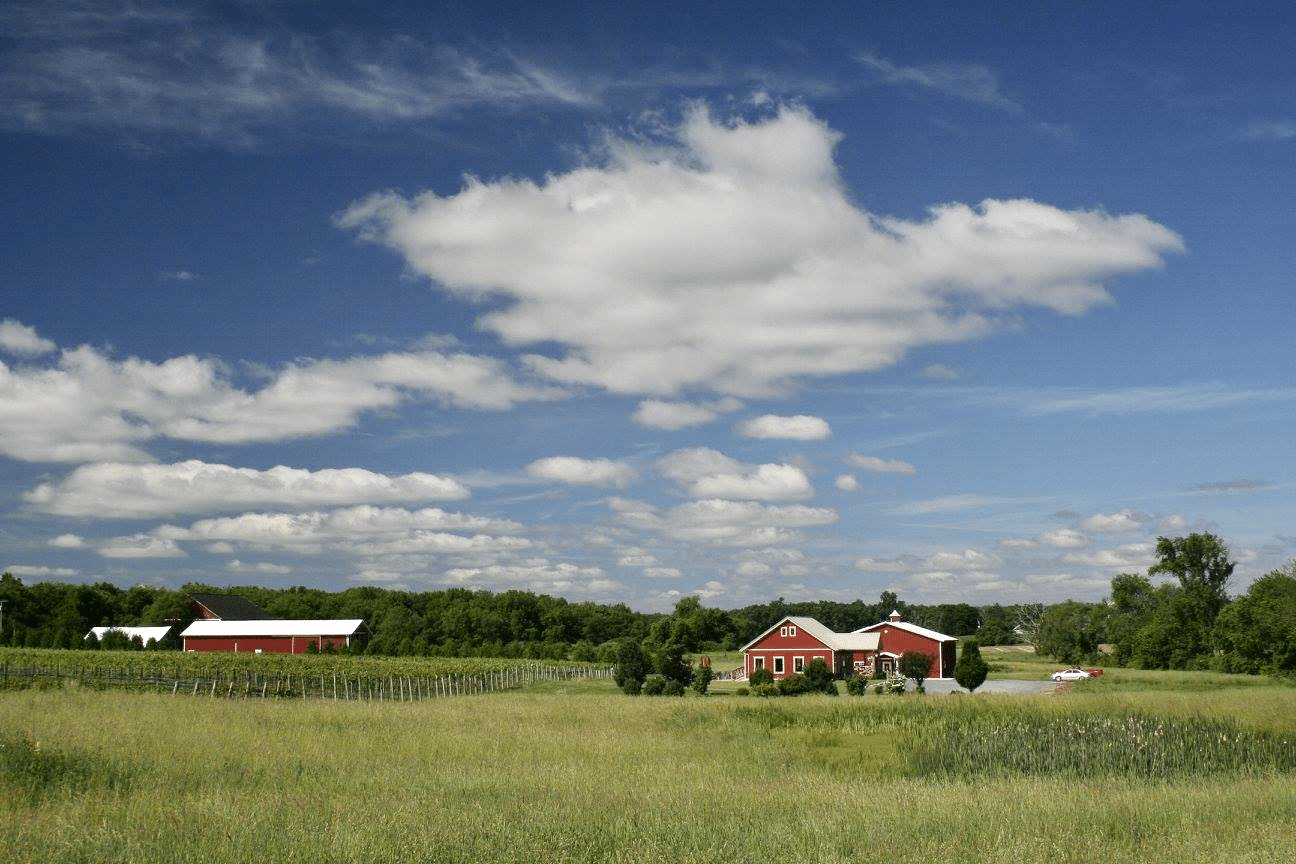 Happy Valley Vineyard & Winery.