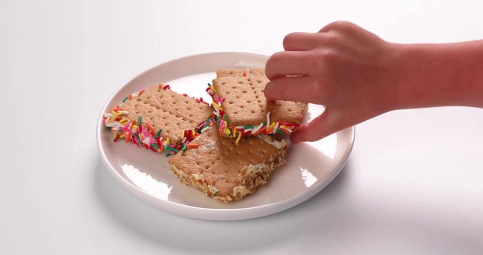 Nourish PA for Kids graham cracker sandwich.