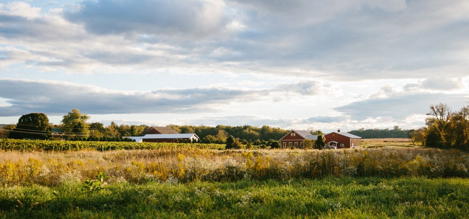 Happy Valley Vineyard & Winery farm.
