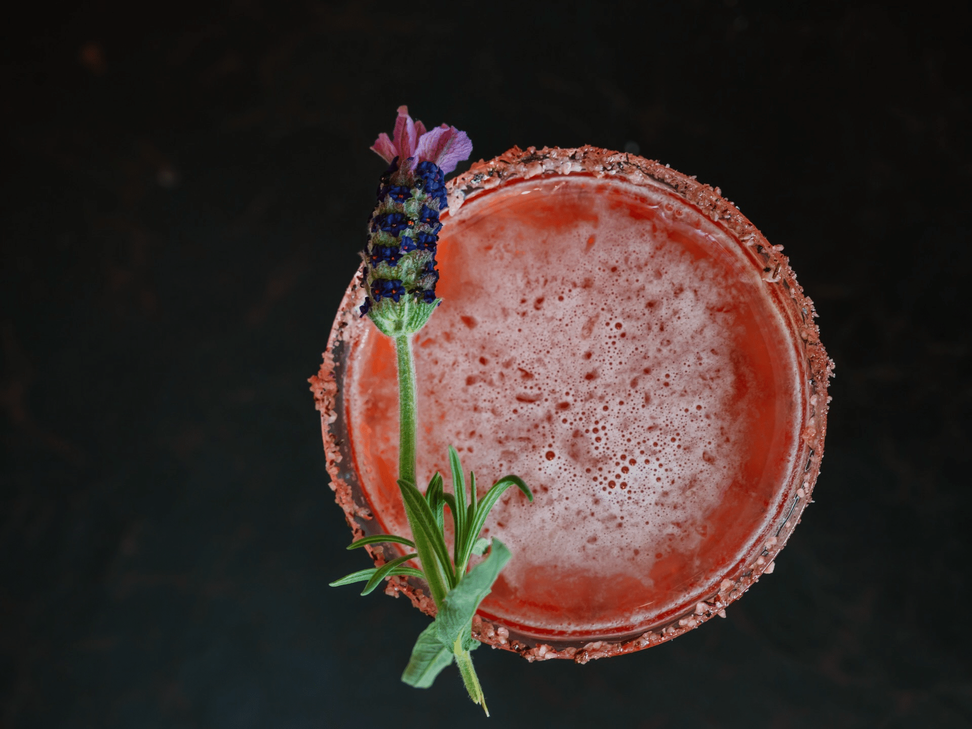 N/A cocktail at FaceClock Gallery.