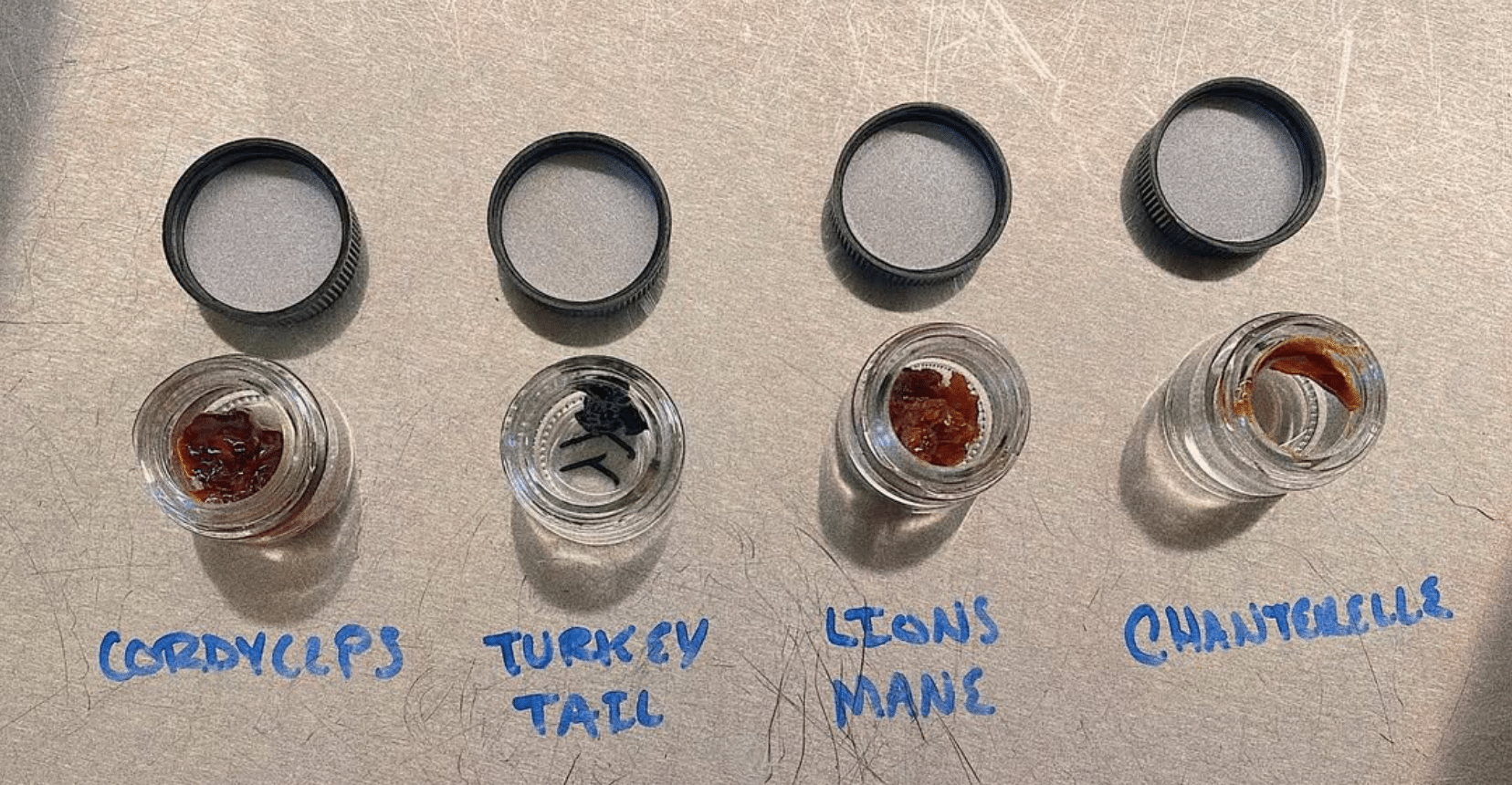 PA Preferred MycoSymbiotics preparing for mushroom extracts.