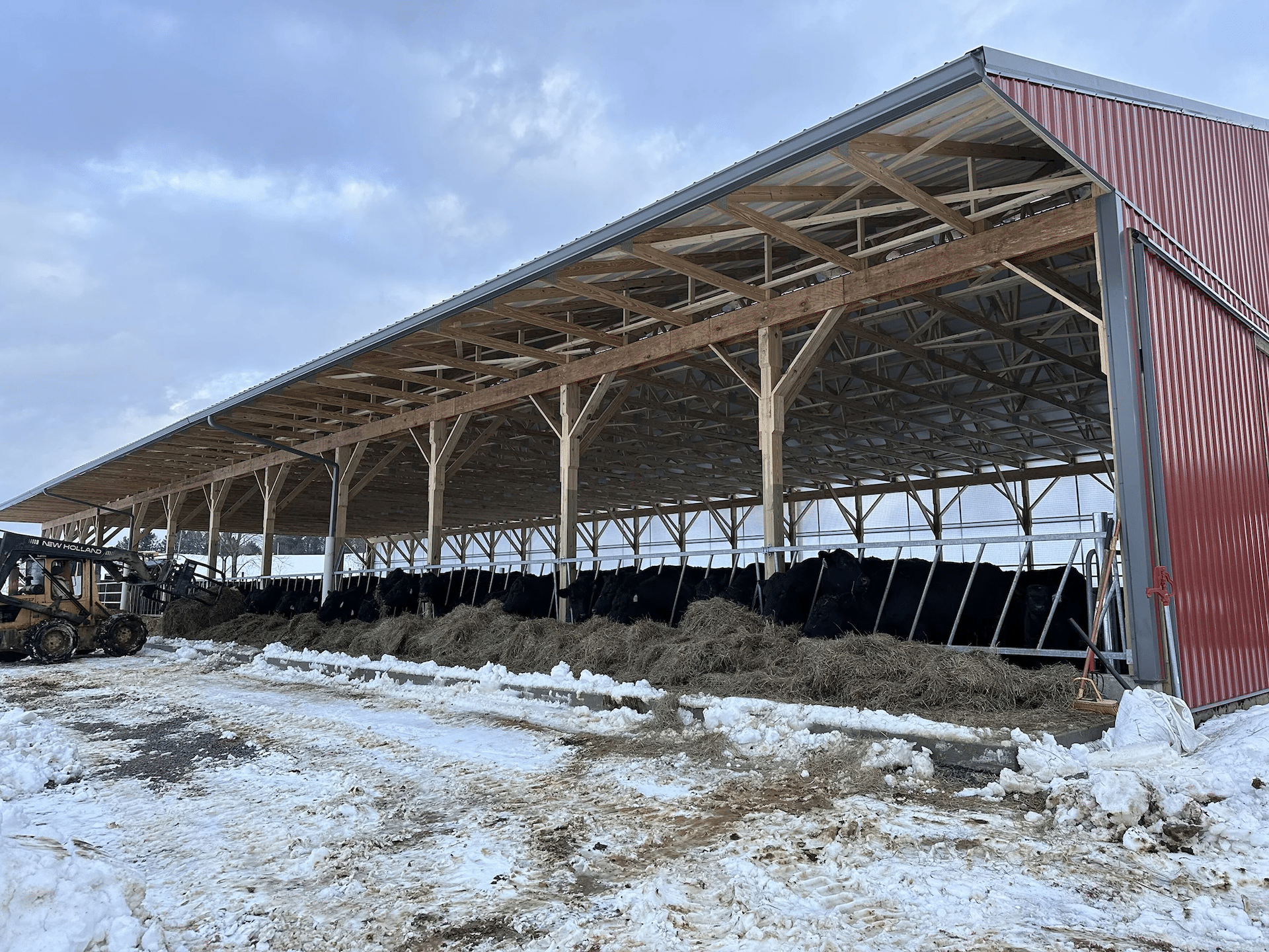 The barn with beef cattle at PA Preferred Last Chance Angus LLC.