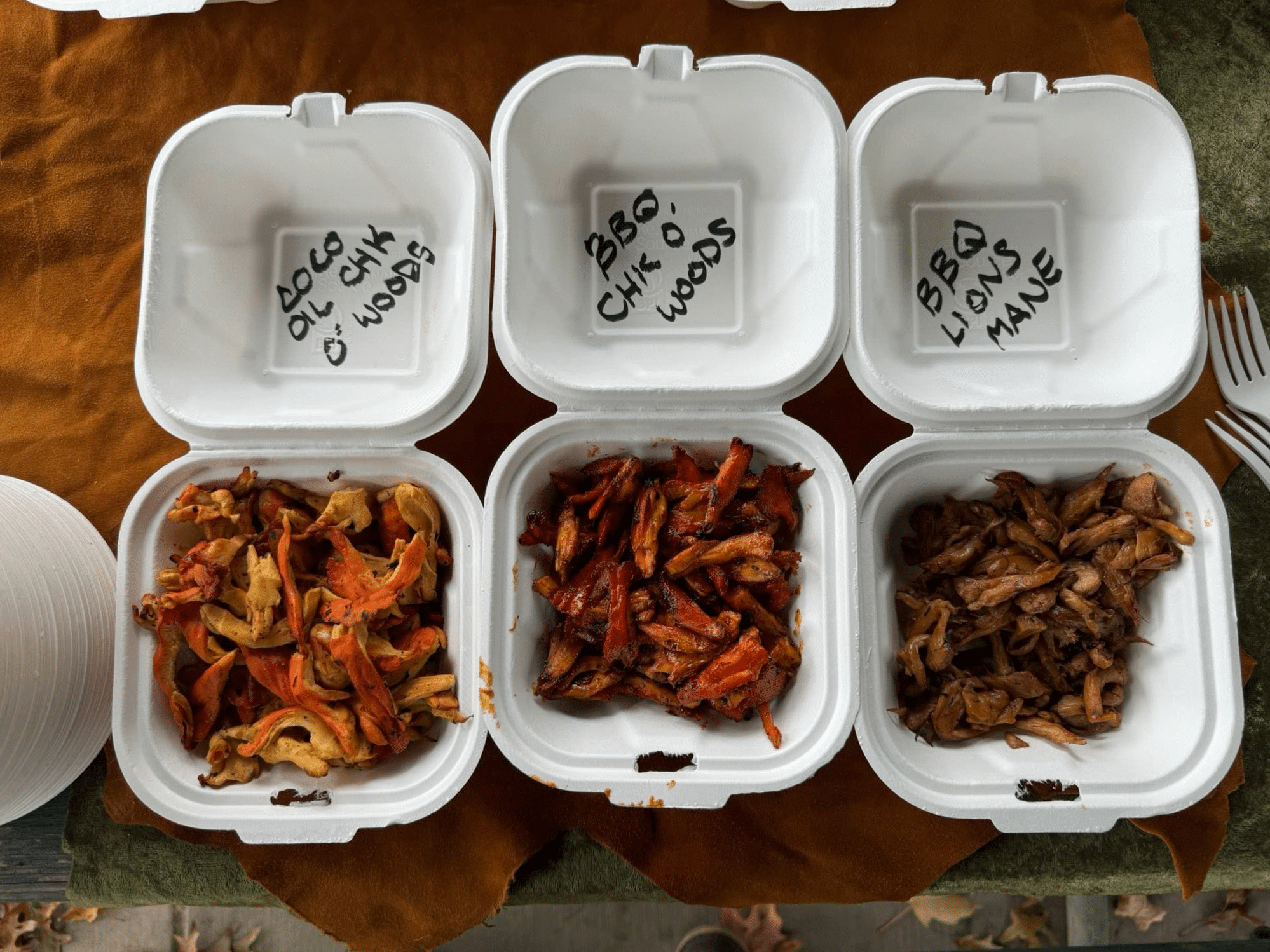 A variety of edible mushrooms c/o Flannel Roots Farm.