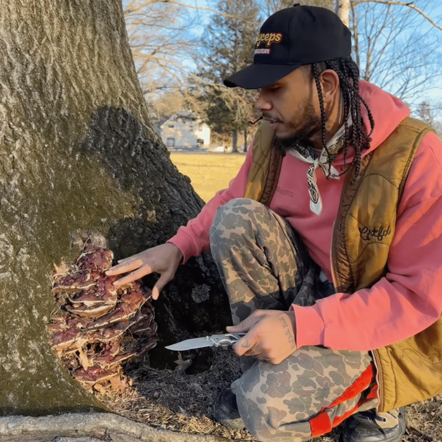 William Padilla-Brown of MycoSymbiotics forages Ganoderma sessile (reishi) in Camp Hill.