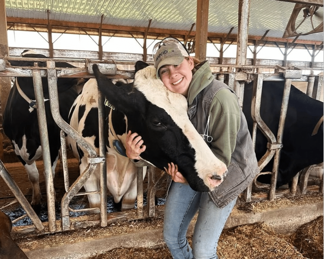 PA Preferred Kreider Farms dairy cow.