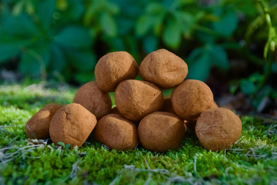 Irish potatoes, a Pennsylvania food icon.