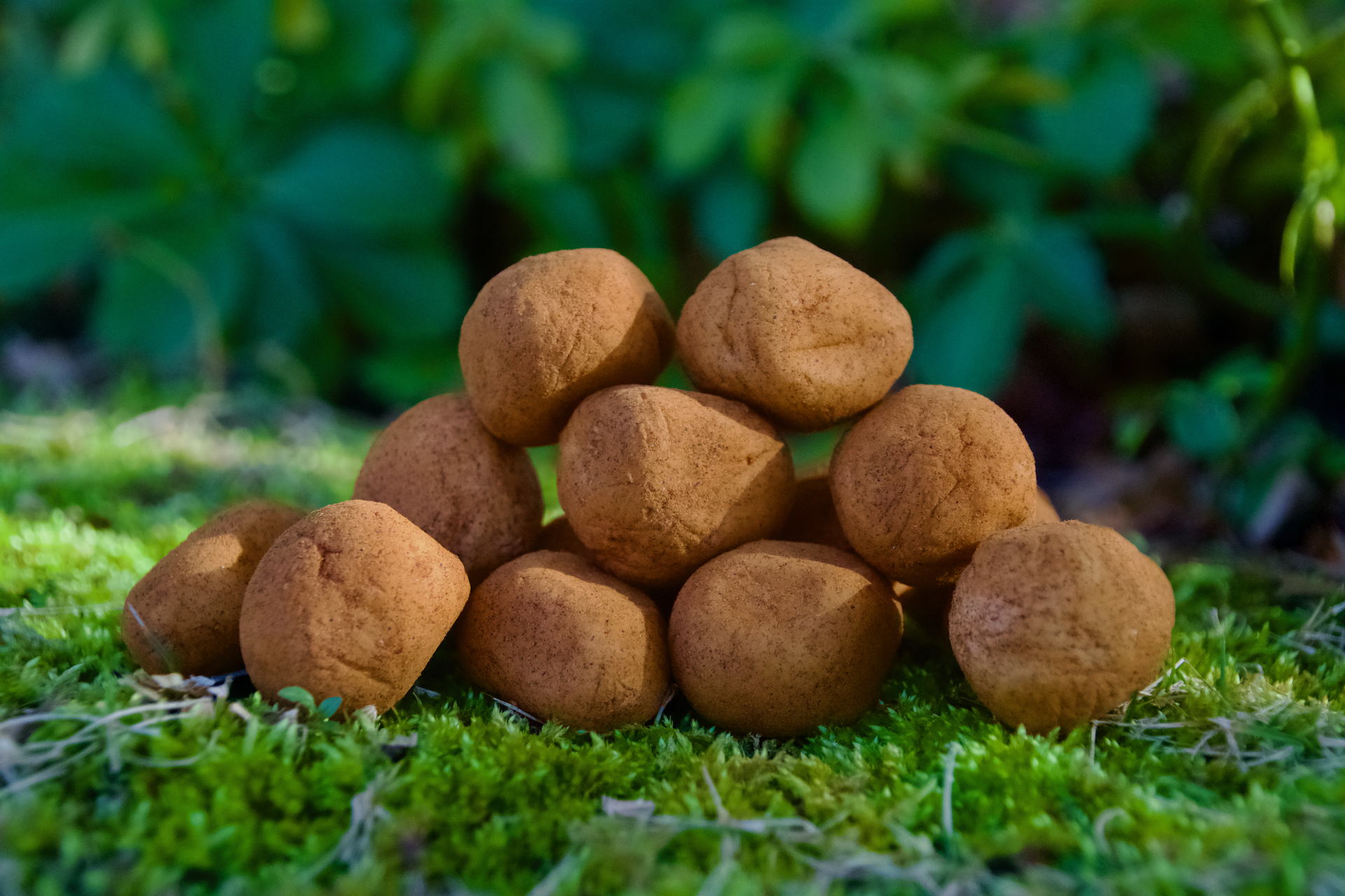 Irish potatoes, a Pennsylvania food icon.