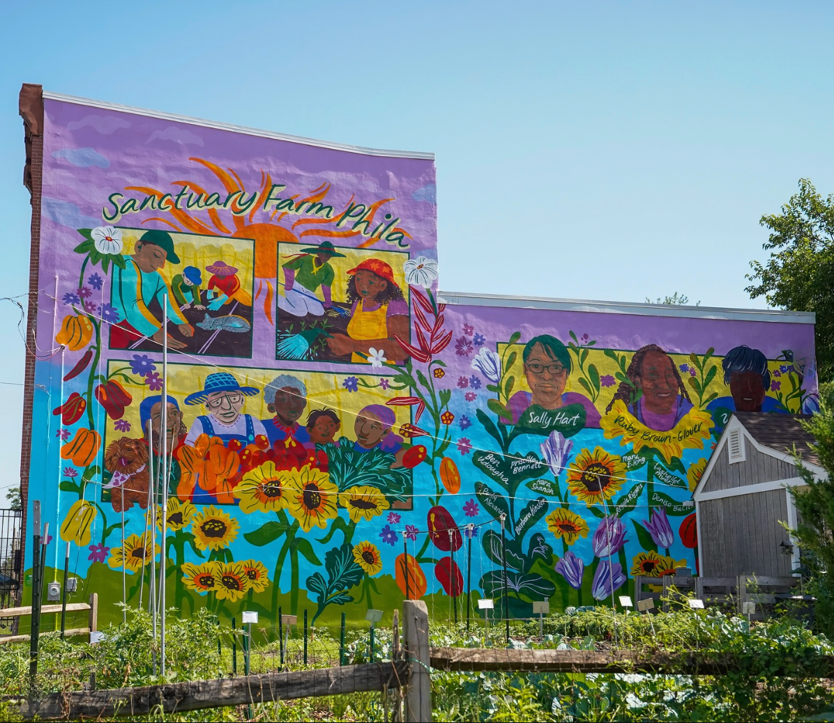 Seeds of Sharswood at Sanctuary Farm Phila.