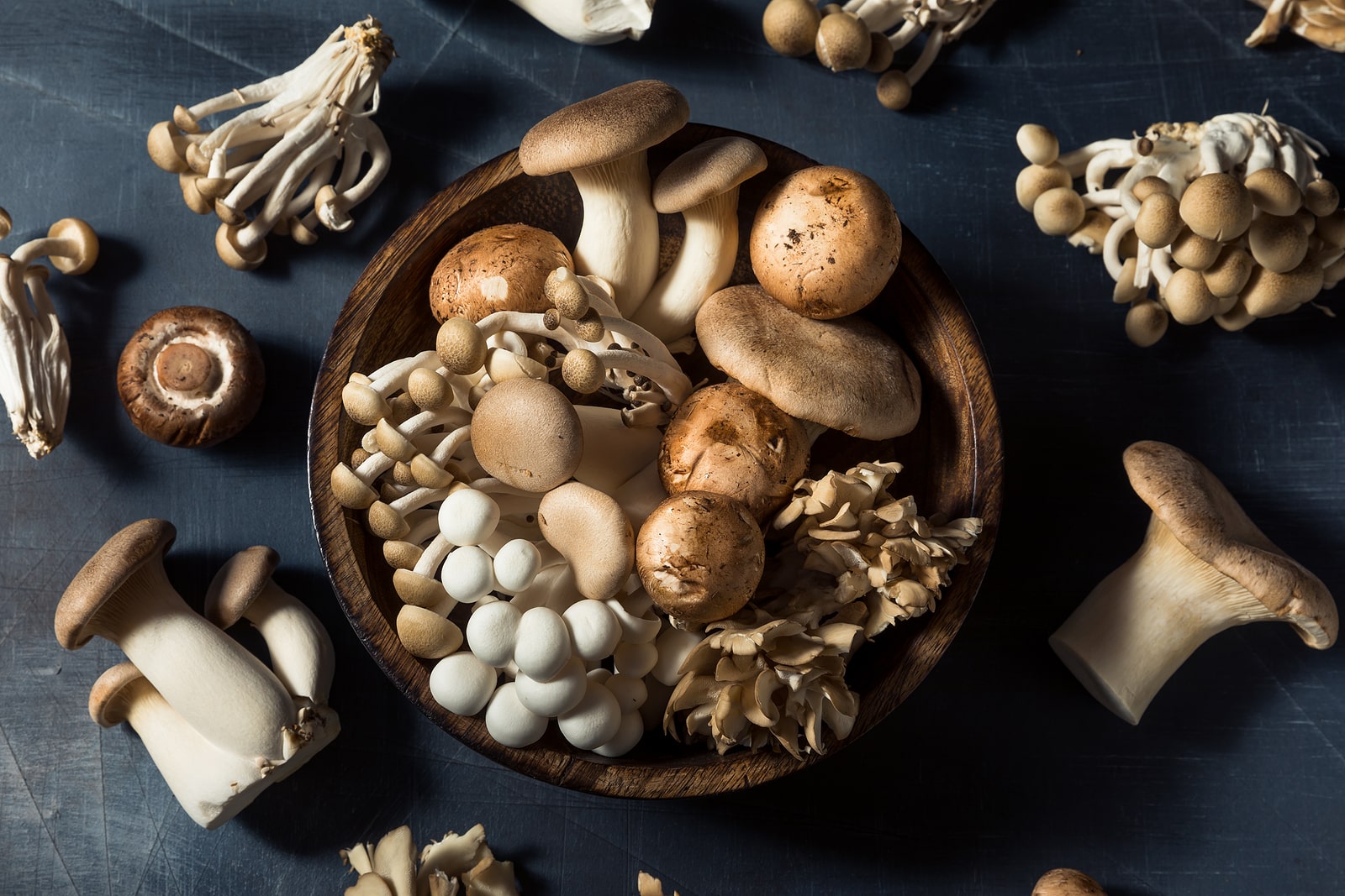 Raw Organic Assorted Gourmet Mushrooms with Trumpet Champignon and Oyster.