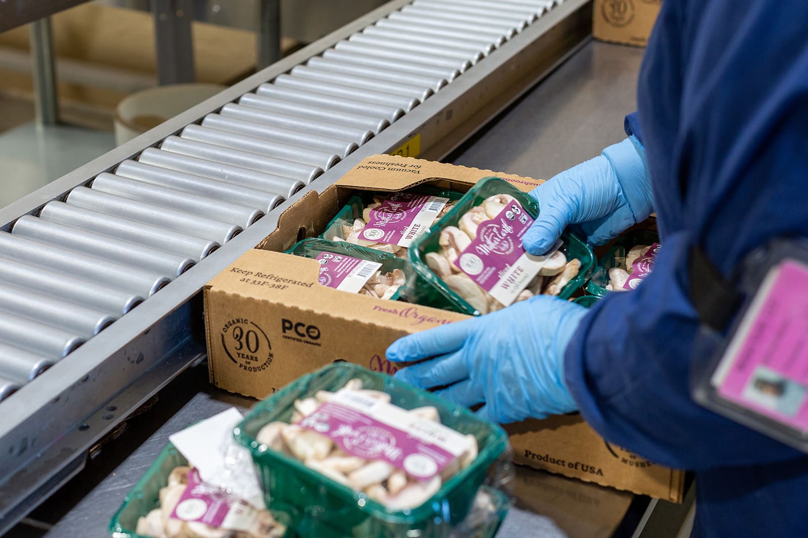 Mother Earth mushrooms. 