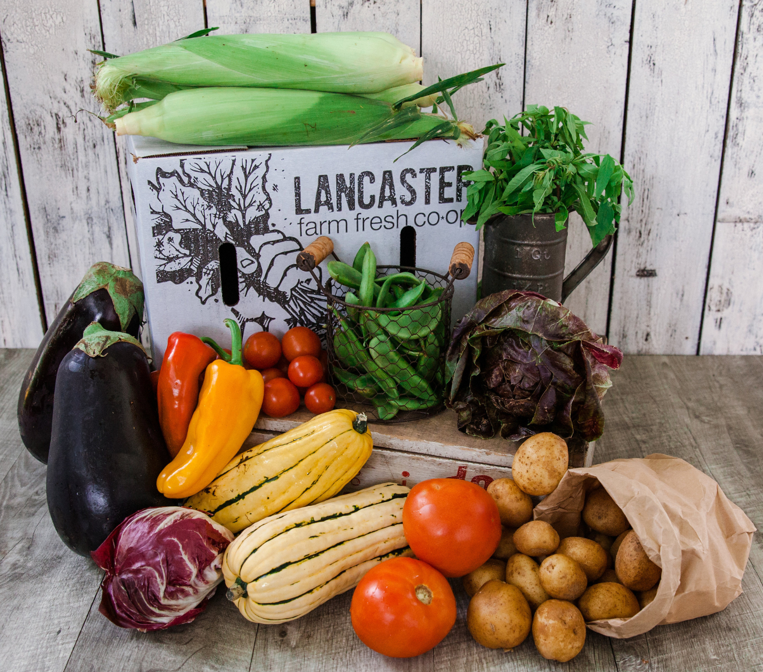 Lancaster Farm Fresh Co-Op CSA share in Pennsylvnaia.