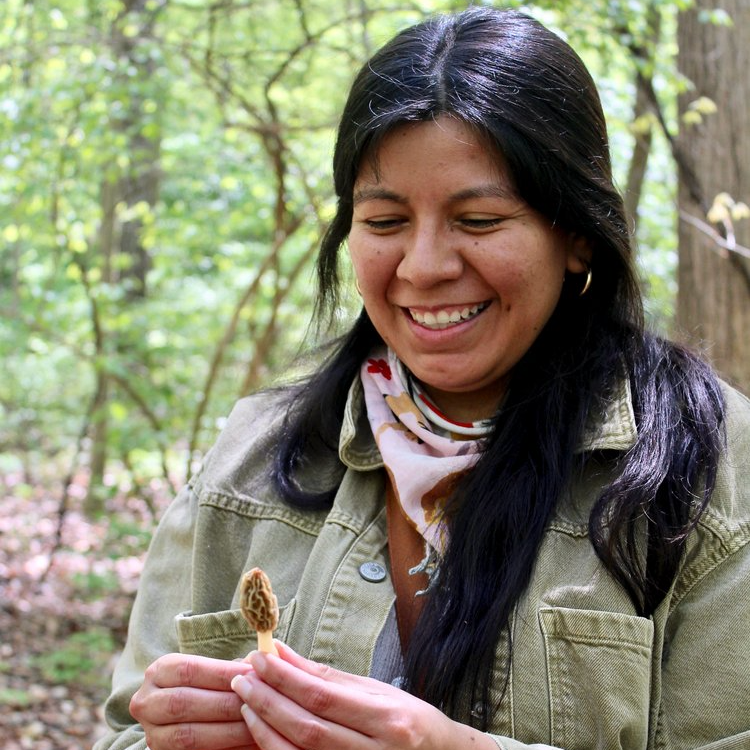 A MorelFest guest finds a morel mushroom in Pennsylvania.