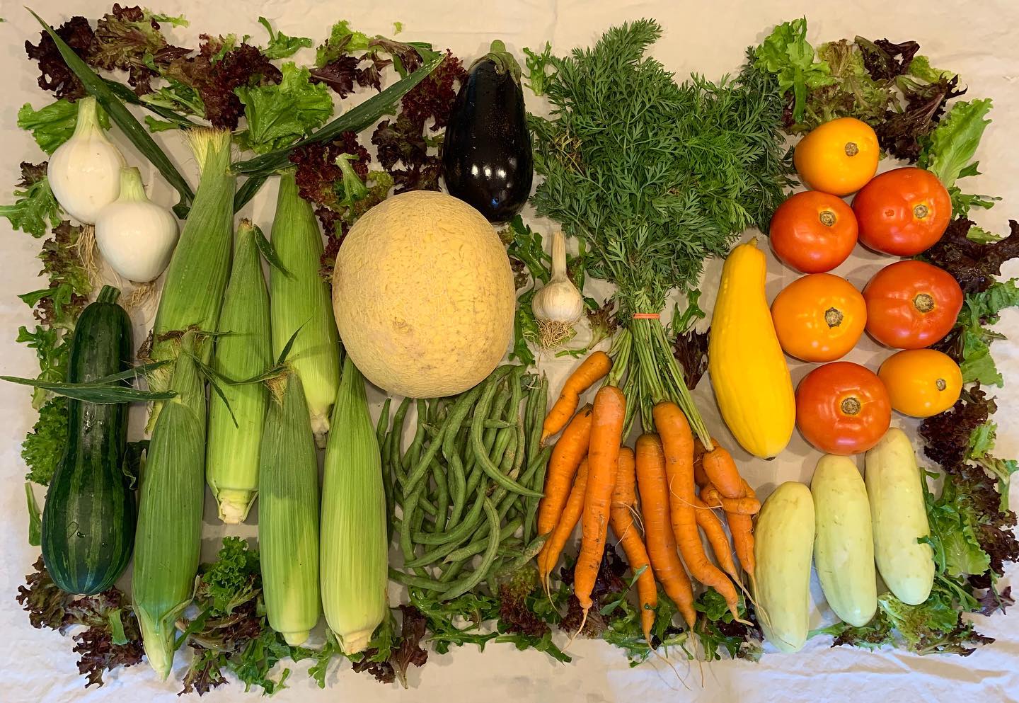 A share from the Good Farm CSA in Pennsylvania.