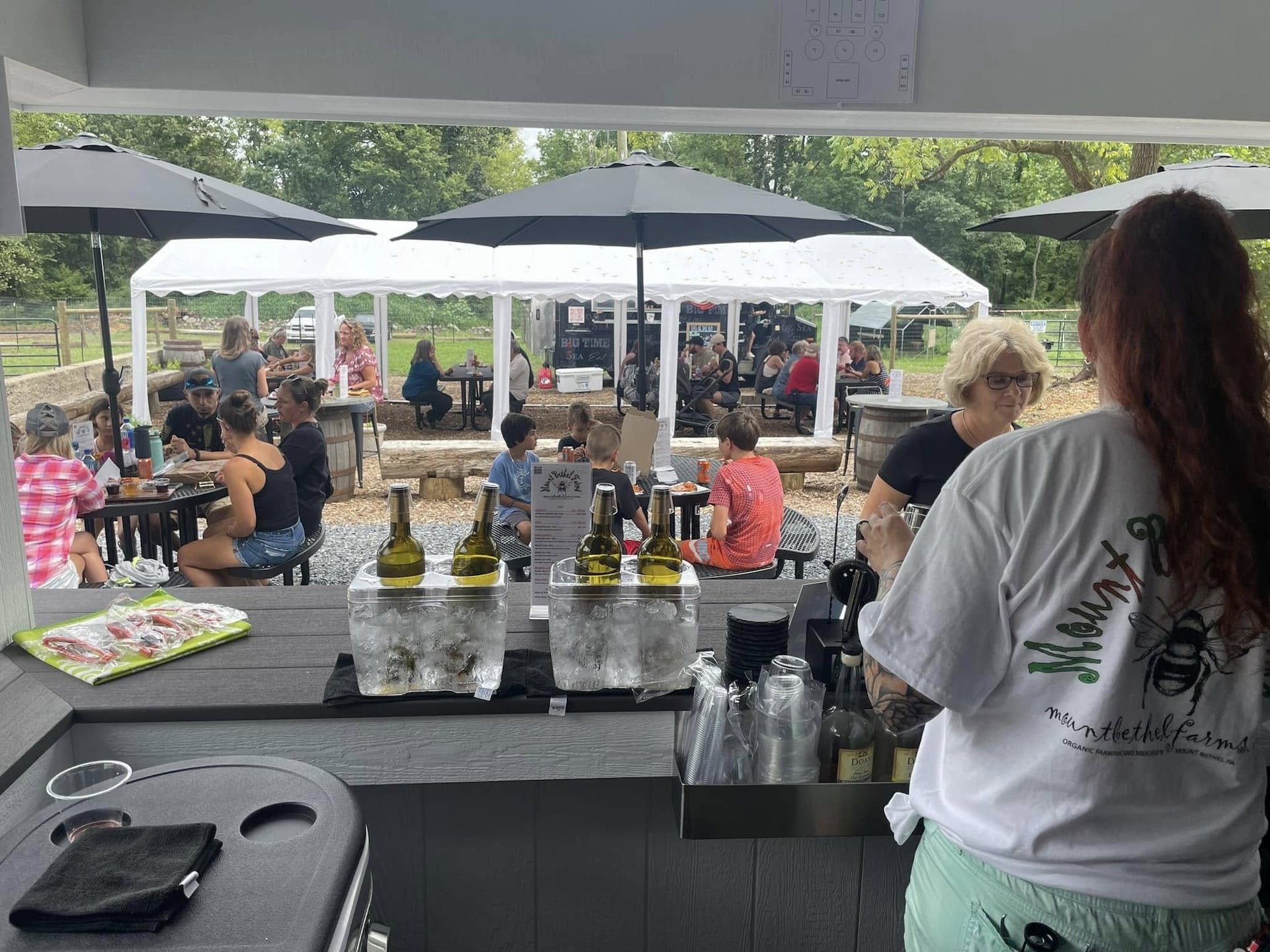 People spending time at Mount Bethal Farms.