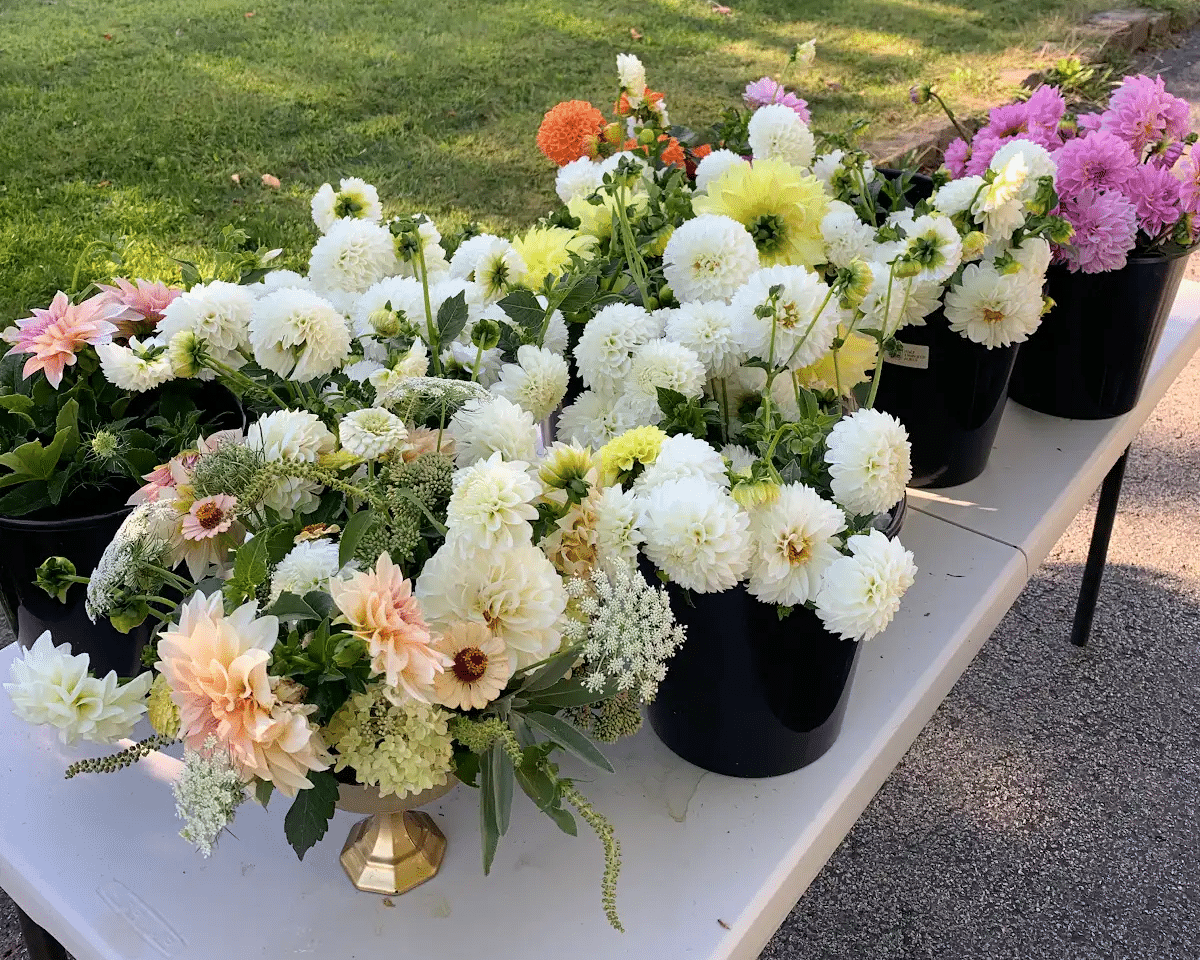 Cut flowers at Half Timbered Acres.