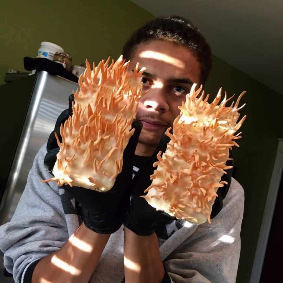 William Padilla-Brown with cultivaded cordyceps