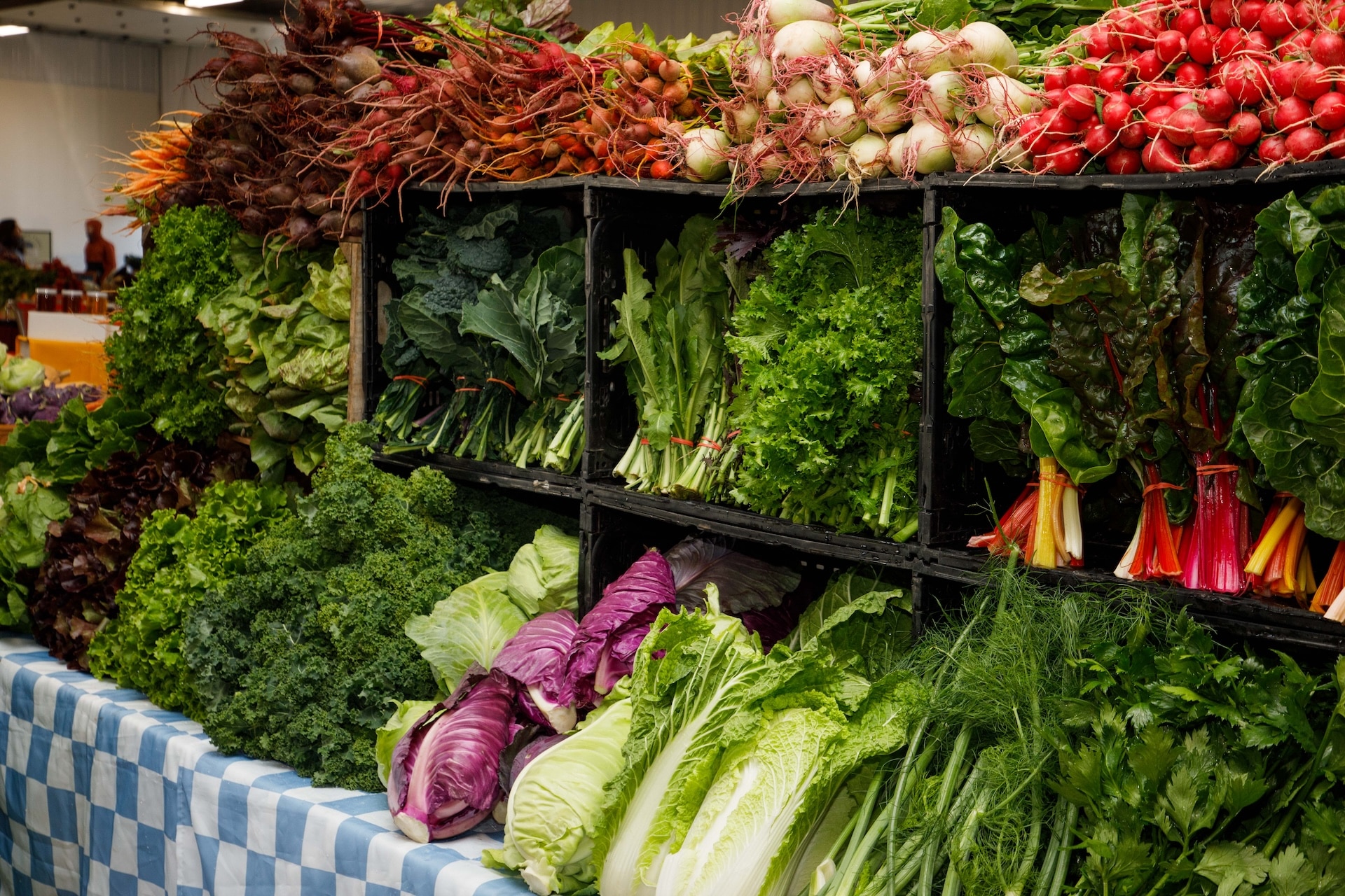 Fresh veggies at Good Food Fest.