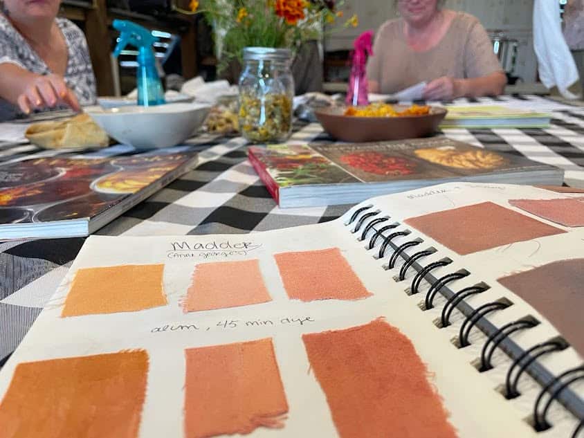 Horn Farm Center's natural dyeing class.
